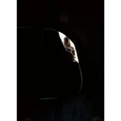 Coleman Valdes Deluxe 4xl Air Blackout Tent -Cheap Camping Shop 2000037563 16